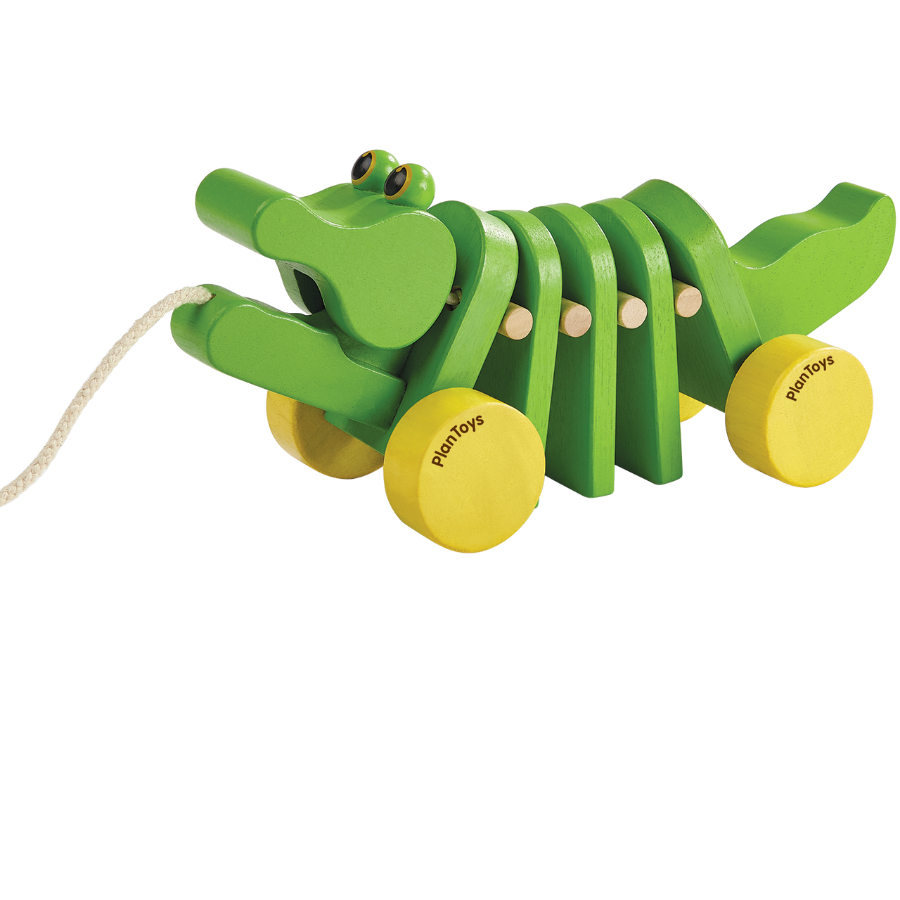 Dancing Alligator